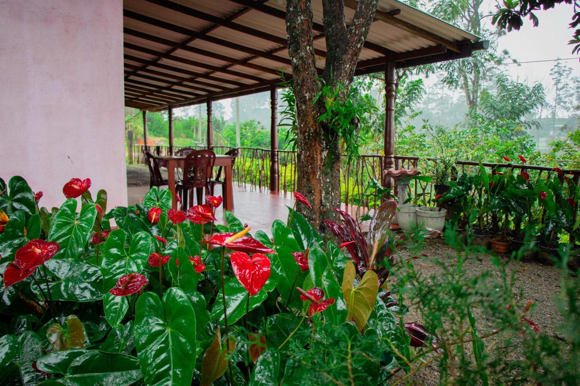 Nine Arch Homestay Ella Zewnętrze zdjęcie